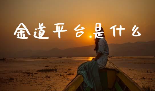 金道平台是什么_https://cj006.lansai.wang_全球市场_第1张