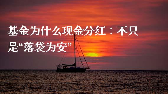 基金为什么现金分红：不只是“落袋为安”_https://cj006.lansai.wang_外汇交易_第1张