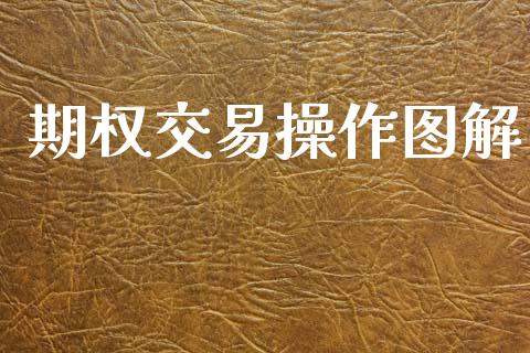 期权交易操作图解_https://cj006.lansai.wang_外汇交易_第1张