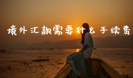 境外汇款需要什么手续费_https://cj006.lansai.wang_财经新闻_第1张