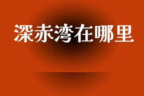 深赤湾在哪里_https://cj006.lansai.wang_外汇交易_第1张