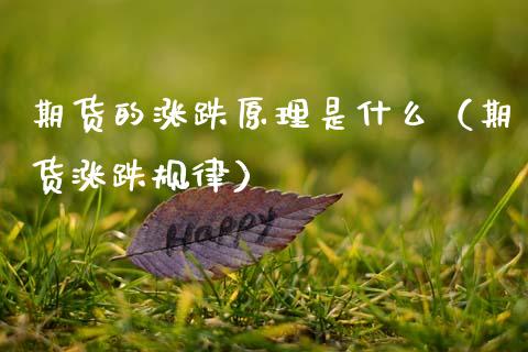 期货的涨跌原理是什么（期货涨跌规律）_https://cj006.lansai.wang_期货开户_第1张