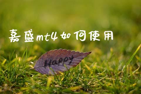 嘉盛mt4如何使用_https://cj006.lansai.wang_金融监管_第1张