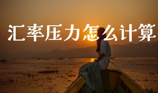 汇率压力怎么计算_https://cj006.lansai.wang_期货开户_第1张