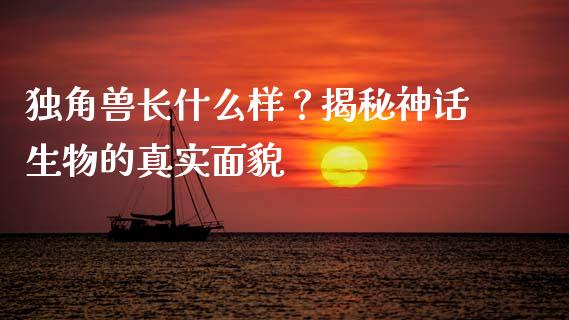 独角兽长什么样？揭秘神话生物的真实面貌_https://cj006.lansai.wang_金融监管_第1张