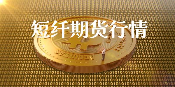 短纤期货行情_https://cj006.lansai.wang_金融监管_第1张