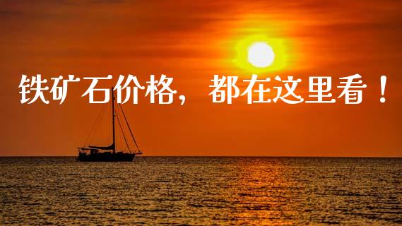 铁矿石价格，都在这里看！_https://cj006.lansai.wang_金融监管_第1张