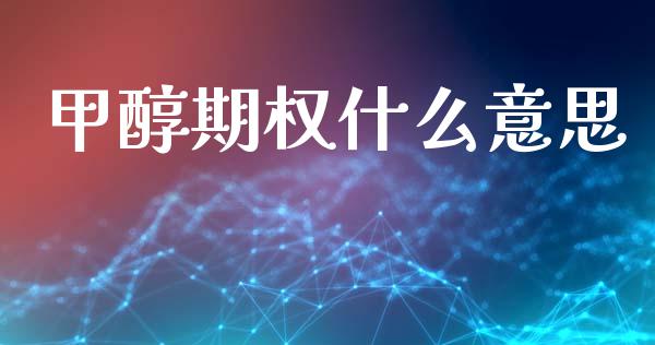甲醇期权什么意思_https://cj006.lansai.wang_金融监管_第1张