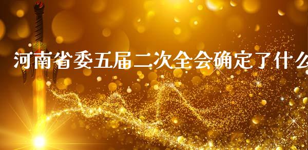 河南省委五届二次全会确定了什么_https://cj006.lansai.wang_外汇交易_第1张