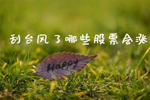 刮台风了哪些股票会涨_https://cj006.lansai.wang_债券资讯_第1张