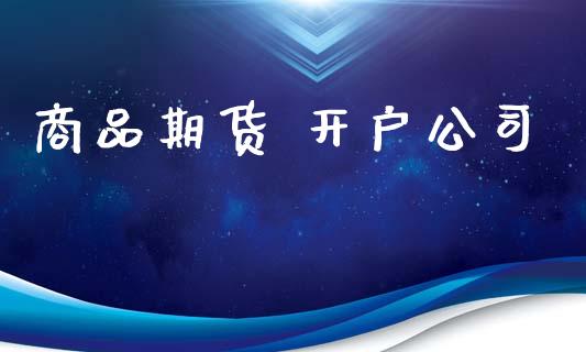 商品期货 开户公司_https://cj006.lansai.wang_金融监管_第1张