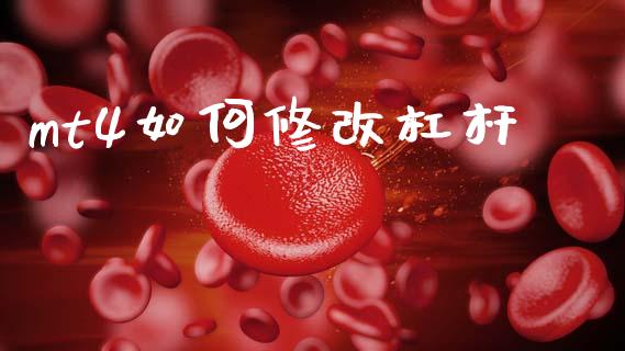mt4如何修改杠杆_https://cj006.lansai.wang_期货开户_第1张