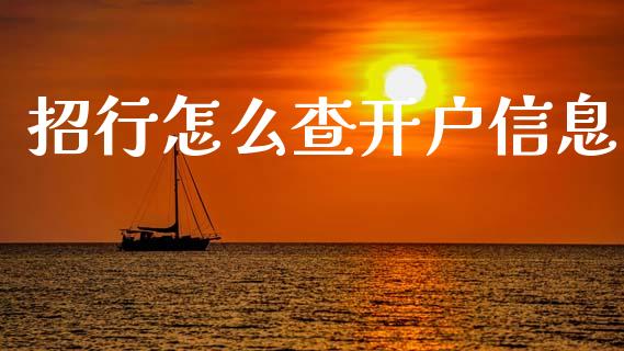 招行怎么查开户信息_https://cj006.lansai.wang_期货开户_第1张