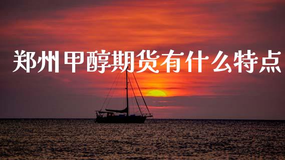 郑州甲醇期货有什么特点_https://cj006.lansai.wang_全球市场_第1张