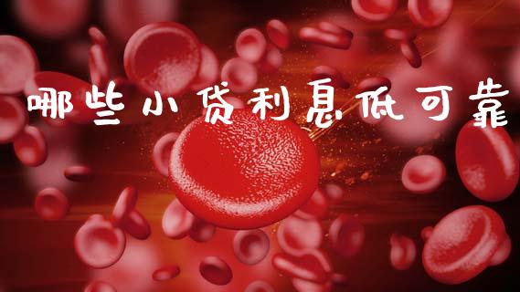 哪些小贷利息低可靠_https://cj006.lansai.wang_财经新闻_第1张