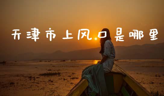 天津市上风口是哪里_https://cj006.lansai.wang_债券资讯_第1张