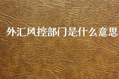 外汇风控部门是什么意思_https://cj006.lansai.wang_财经新闻_第1张