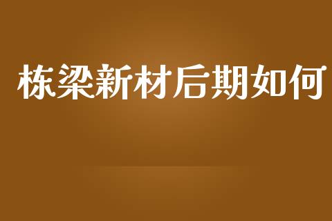 栋梁新材后期如何_https://cj006.lansai.wang_金融监管_第1张