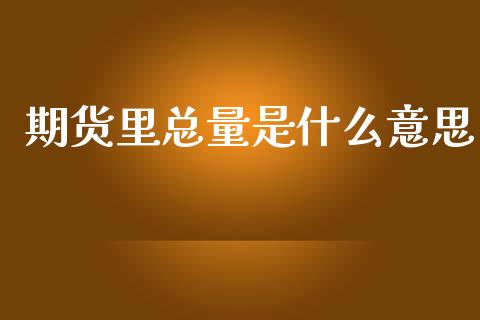 期货里总量是什么意思_https://cj006.lansai.wang_债券资讯_第1张