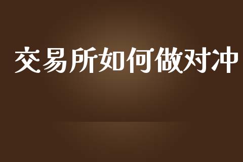 交易所如何做对冲_https://cj006.lansai.wang_金融监管_第1张