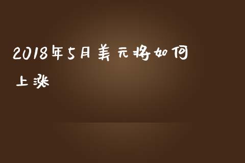 2018年5月美元将如何上涨_https://cj006.lansai.wang_期货开户_第1张