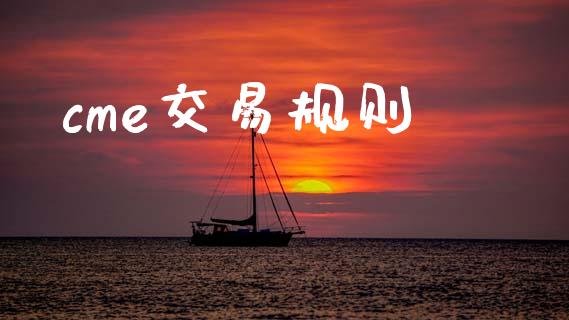 cme交易规则_https://cj006.lansai.wang_金融监管_第1张