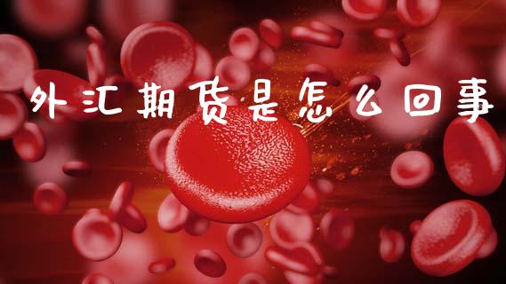 外汇期货是怎么回事_https://cj006.lansai.wang_债券资讯_第1张