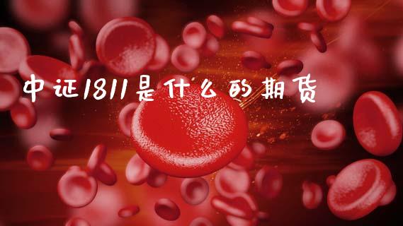 中证1811是什么的期货_https://cj006.lansai.wang_期货开户_第1张