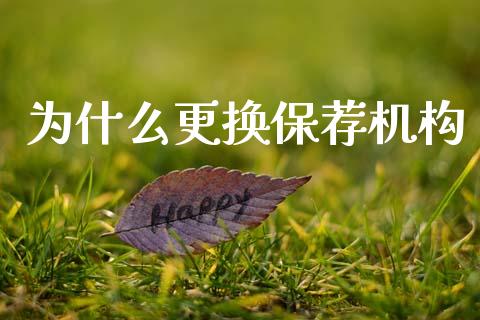 为什么更换保荐机构_https://cj006.lansai.wang_外汇交易_第1张