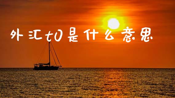 外汇t0是什么意思_https://cj006.lansai.wang_债券资讯_第1张