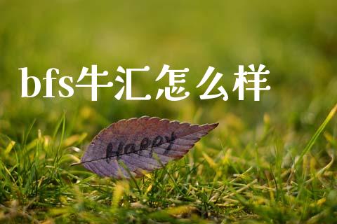 bfs牛汇怎么样_https://cj006.lansai.wang_财经新闻_第1张