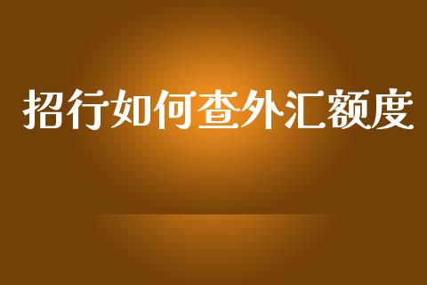 招行如何查外汇额度_https://cj006.lansai.wang_债券资讯_第1张