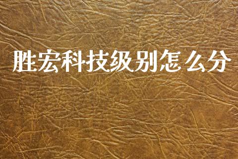 胜宏科技级别怎么分_https://cj006.lansai.wang_金融监管_第1张