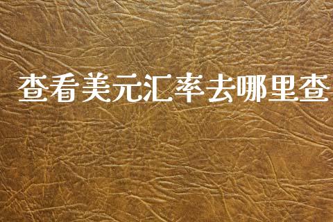 查看美元汇率去哪里查_https://cj006.lansai.wang_期货开户_第1张