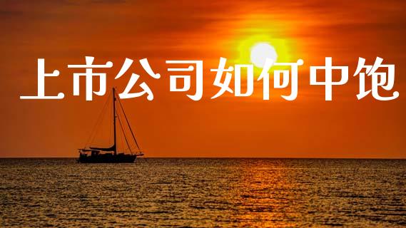 上市公司如何中饱_https://cj006.lansai.wang_外汇交易_第1张