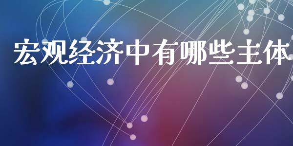 宏观经济中有哪些主体_https://cj006.lansai.wang_外汇交易_第1张