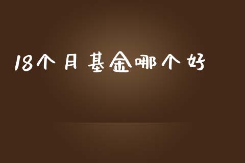 18个月基金哪个好_https://cj006.lansai.wang_期货开户_第1张
