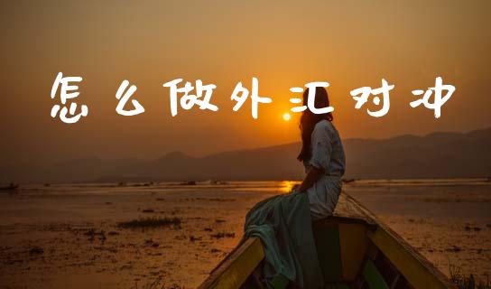 怎么做外汇对冲_https://cj006.lansai.wang_金融监管_第1张