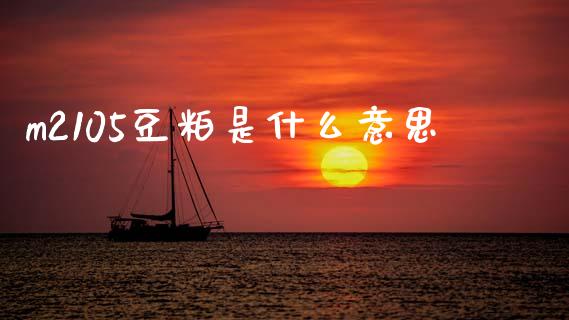 m2105豆粕是什么意思_https://cj006.lansai.wang_外汇交易_第1张