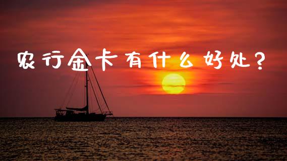 农行金卡有什么好处?_https://cj006.lansai.wang_期货开户_第1张