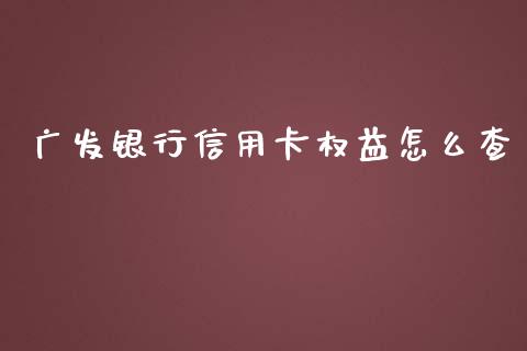 广发银行信用卡权益怎么查_https://cj006.lansai.wang_财经新闻_第1张