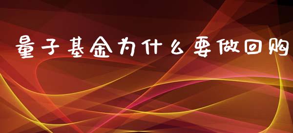 量子基金为什么要做回购_https://cj006.lansai.wang_外汇交易_第1张