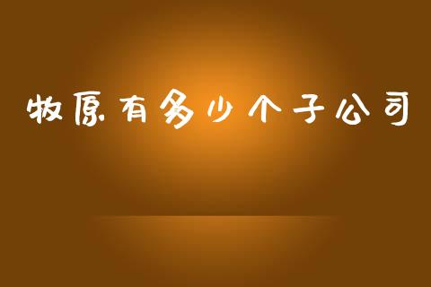牧原有多少个子公司_https://cj006.lansai.wang_财经新闻_第1张