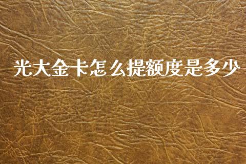 光大金卡怎么提额度是多少_https://cj006.lansai.wang_金融监管_第1张