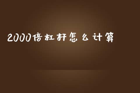 2000倍杠杆怎么计算_https://cj006.lansai.wang_债券资讯_第1张