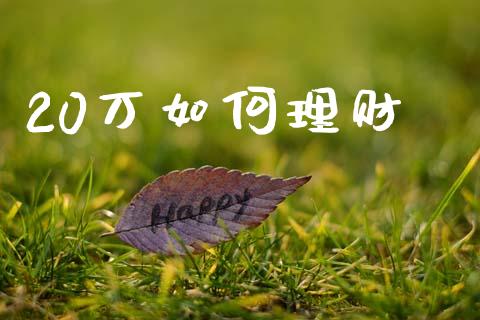 20万如何理财_https://cj006.lansai.wang_期货开户_第1张