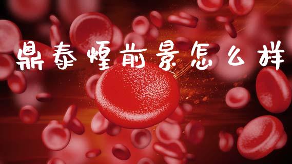 鼎泰煌前景怎么样_https://cj006.lansai.wang_期货开户_第1张
