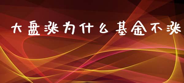 大盘涨为什么基金不涨_https://cj006.lansai.wang_财经新闻_第1张