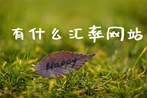 有什么汇率网站_https://cj006.lansai.wang_财经新闻_第1张