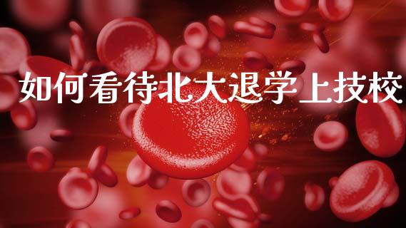 如何看待北大退学上技校_https://cj006.lansai.wang_外汇交易_第1张